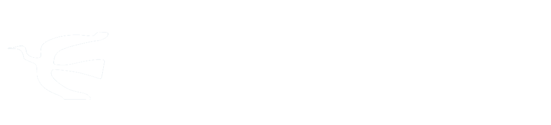 Perfil